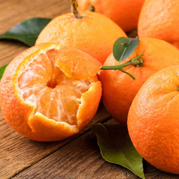 Proudly made in Australia.