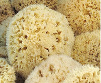 Why we love natural sponges